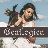 catlogica_telegram | Unsorted