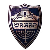 shakharisrael | Unsorted
