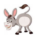 funny_donkey | Unsorted