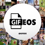 GIFEOS