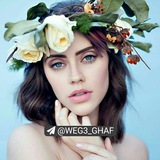 weg3_ghaf | Unsorted