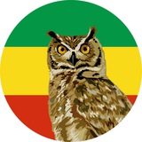abyssinicus | Unsorted