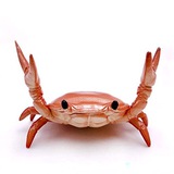 getkrab | Unsorted