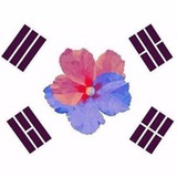 koreaneveryday | Unsorted