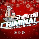 sherdil_criminal_group | Unsorted