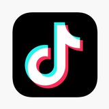 birztiktok | Unsorted