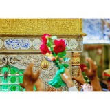 alialoussawi | Unsorted