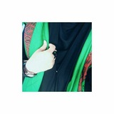 haneen_ali_faris | Unsorted