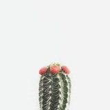 passion00 | Unsorted