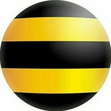 beelinerss | Unsorted