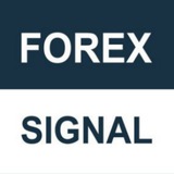 🎯FOREX СИГНАЛЫ