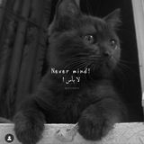 kfhto | Unsorted