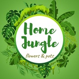 homejungle_uz | Unsorted