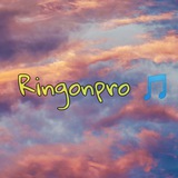 ringonpro | Unsorted