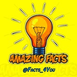 facts_4you | Unsorted