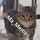 ma_memes_group | Unsorted