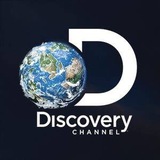 Discovery Channel