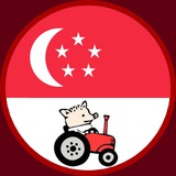 singapore_chat | Unsorted