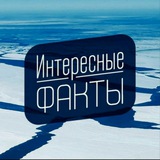 Интересные факты