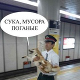 shiben_thug | Unsorted