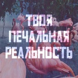 Твоя печальная реальность