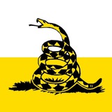libertysouth | Unsorted