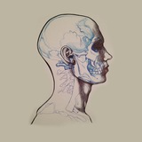 progressivemind | Unsorted