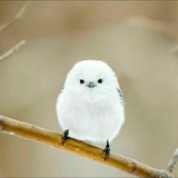 spirit313 | Неотсортированное