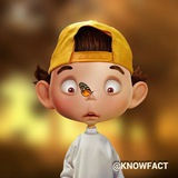 knowfact | Технологии