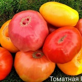 tomatpomidor | Unsorted