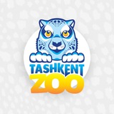 tashzoo | Unsorted