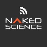 nakedscience | Неотсортированное