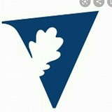 volsu_official | Unsorted