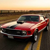 muscle_cars_one | Unsorted