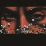 koke_ga | Unsorted