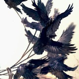 death1000day | Unsorted