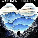 wise_incredible_fun | Unsorted