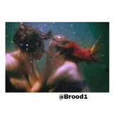 brood1 | Неотсортированное