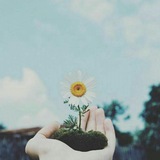 reem_almkahel | Unsorted