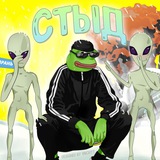 СТЫД