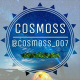 cosmoss_007 | Unsorted