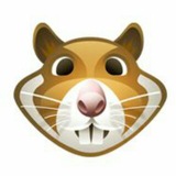xhamster | Adults only