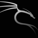 kalilinux | Humor and Entertainment