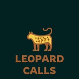 leopardcalls | Unsorted