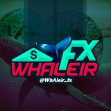 whaleir_fx | Unsorted