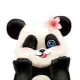 pandabeauty_channel | Unsorted