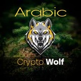 arabiccryptowolf | Cryptocurrency