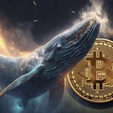 Whale of crypto 🐋