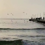sher_deklameh | Unsorted