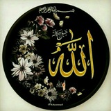 alaysaallah | Unsorted